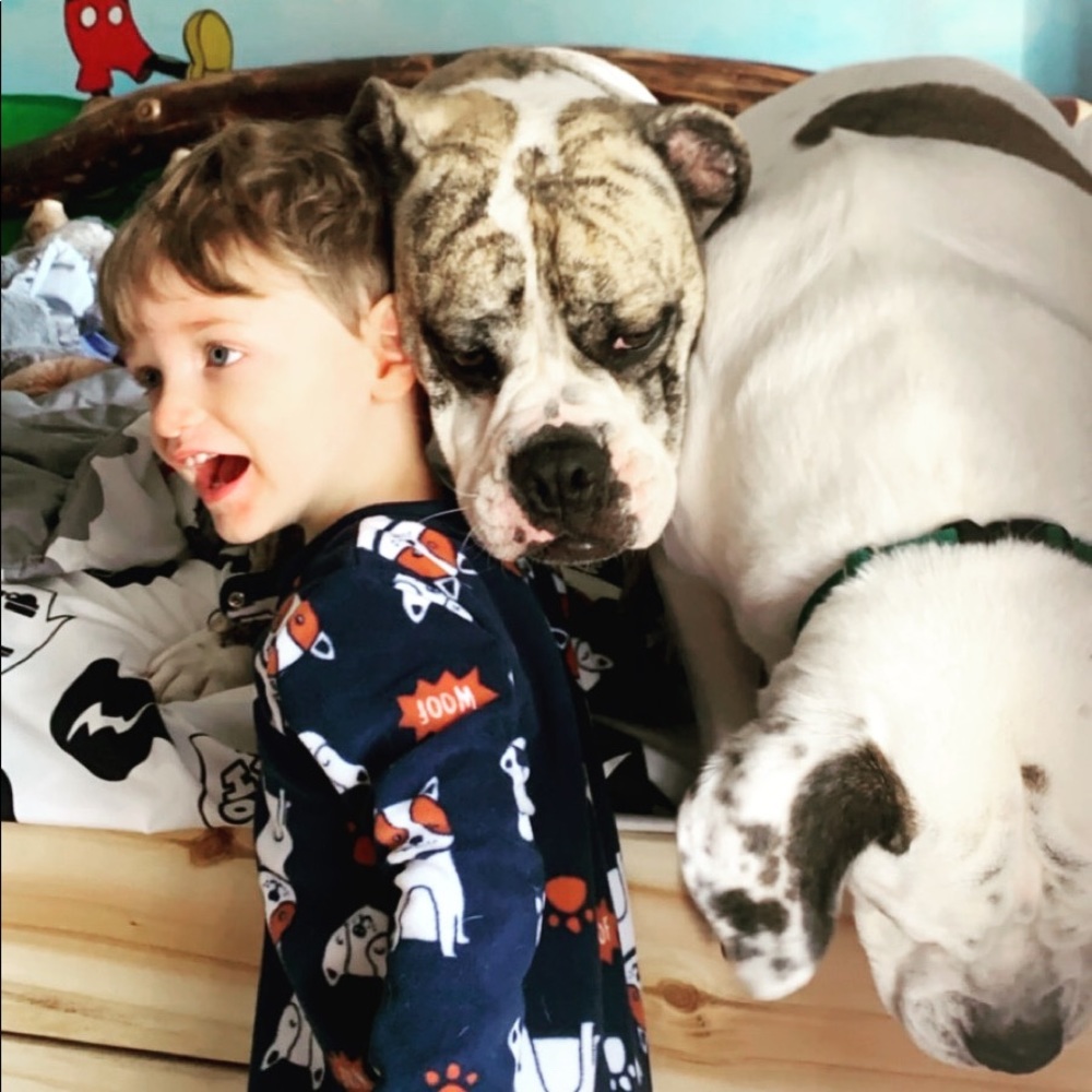 These are my babies🐶💚 - Picture 10 of 15